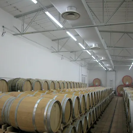 Podere Torricella Primo Piano