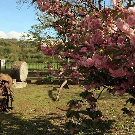 Podere Torricella Primo Piano