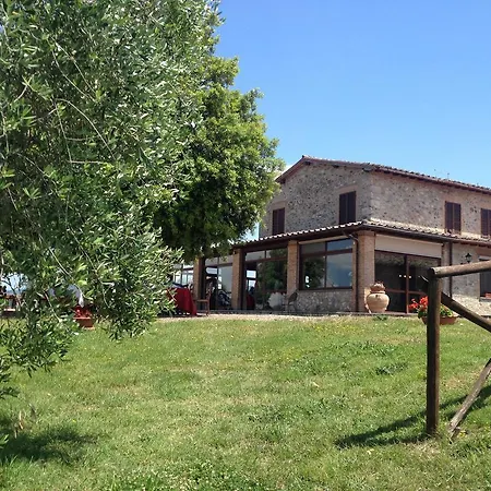 Podere Torricella Primo Piano Corbara (Umbria)