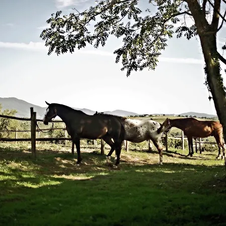 Podere Torricella Primo Piano Agroturismo *